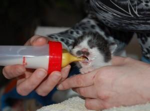 Foto: osebni arhiv
