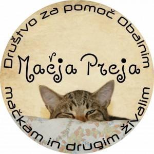 Foto: Mačja preja
