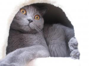 Foto: arhiv Mucek