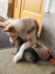 Foto: Vesna Hude