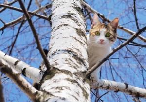 Foto: 123RF kako-odreagirati-v-razlicnih-situacijah