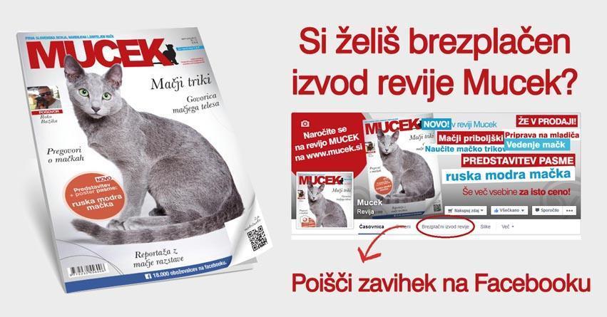 zavihek-fb-mucek