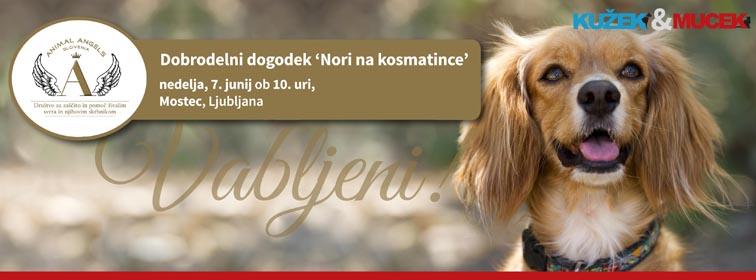 nori-na-kosmatince copy