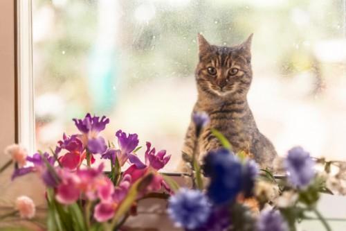 Foto: 123RF kam-spada-macka