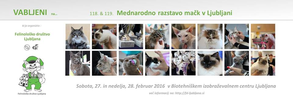mednarodna-razstava-mack