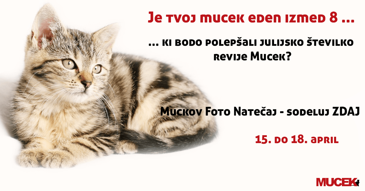 mucek_natecaj