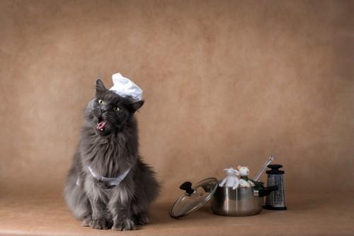 Foto: Shutterstock domaci-priboljski