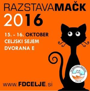 oglejte-si-razstavo-mack-v-celju